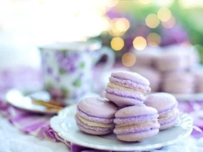 fashion - french culture food close up photo of macarons on plate 3776947