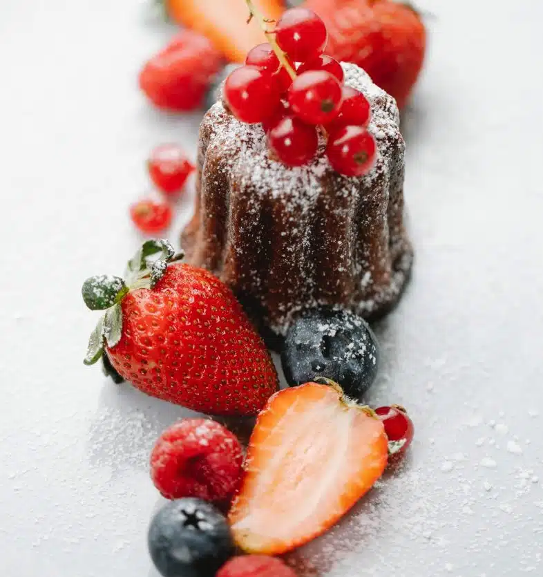 French Cuisine Festival Gastronomy
