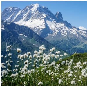Mont Blanc 5