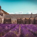 French Reve - Regional French Culture - Claudio Vincenti